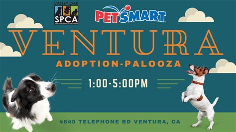 petsmart ventura